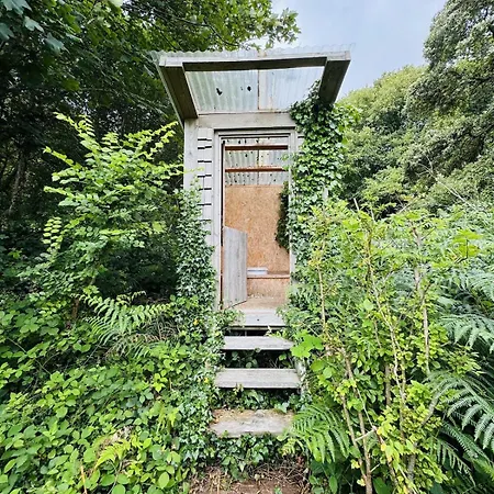 Шале Harbour View Tree House
