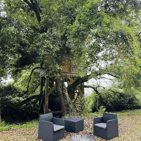 Harbour View Tree House *