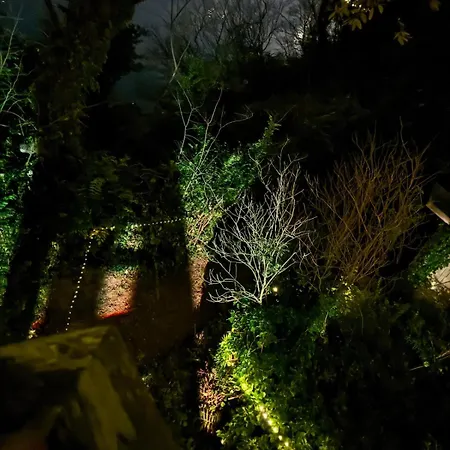 Шале Harbour View Tree House