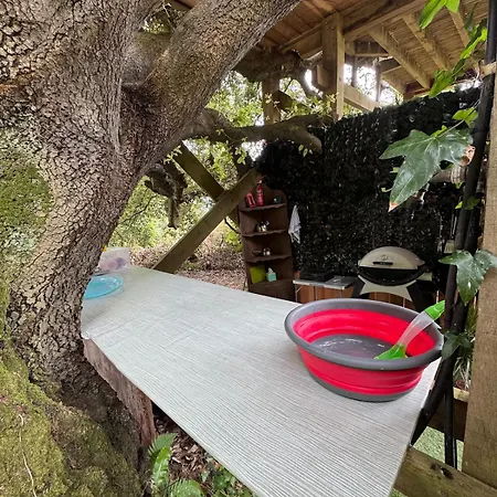 Harbour View Tree House Шале